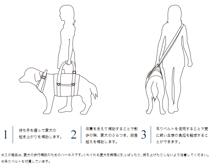 歩行補助ハーネスLaLaWalk大型犬用使用イメージ