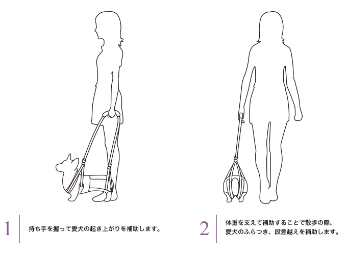 歩行補助ハーネスLaLaWalkコーギー用使用イメージ